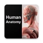 Logo of Human Anatomy Quiz android Application 